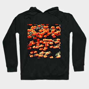 Orange Petaled Flower at Daytime Hoodie